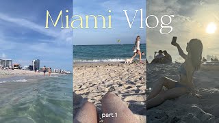 Vlog Miami pt1 travel for spring break  미국 교환학생의 마이애미 여행 렌트카 빌리기 에어비앤비 수영장 사우스비치 한인마트 [upl. by Rengia830]