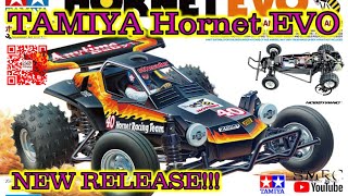 Why Everyone is Talking About Tamiya Hornet Evo tamiya tamiyarc [upl. by Anirtek799]