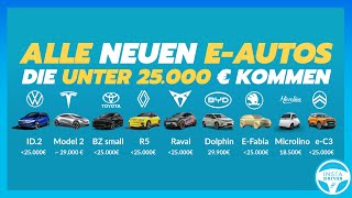 Diese günstigen EAutos kommen unter 25000 €  VW Tesla BYD Renault Skoda Cupra amp IZERA [upl. by Nepean]