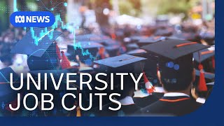 International student caps expose problems with university business model  The Business  ABC News [upl. by Ambert300]