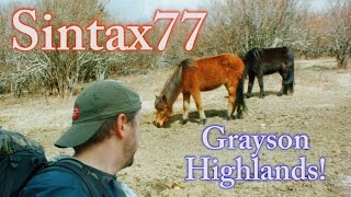 Hiking the Grayson Highlands  Solo Backpacking Trip [upl. by Artimed]