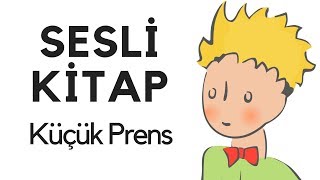 Küçük Prens Sesli Kitap Dinle Oku Tek Parça Masal Abbas Tekin [upl. by Lerat]