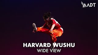 Harvard Wushu Club  Eastbound 2024 Wide View [upl. by Leirza]