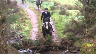 Suir Vale Harriers Hunt Drombane Jan 2014 [upl. by Wiebmer654]