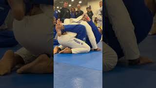 Brabo Choke from Closed Guard w André Mestré André “Dede” Pederneiras of Nova União bjj jiujitsu [upl. by Mahgirb]