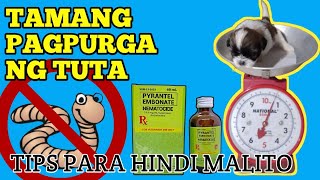 HOW TO DEWORM A PUPPY PAANO MAGPURGA NG TUTA [upl. by Pfaff]