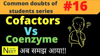 Cofactors Vs coenzyme  coenzyme and cofactors  Coenzyme in Hindi  enzymes class 11 Biology [upl. by Crary]