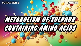 Chapter  3  Metabolism Of Sulphur Containing Amino Acids Part9  Hindi [upl. by Sigismondo]