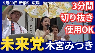 【3分間切り抜きOK】未来党 2024年5月30日 新橋SL広場 未来党 木宮みつき 石川新一郎 ゲサラ [upl. by Nosilla394]