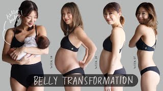 Pregnancy Transformation Week by Week  Kryz Uy [upl. by Aihsiyt]