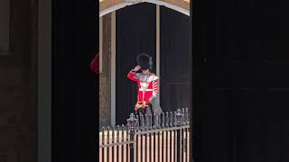 The Kings Guard1st Battalion Welsh GuardsMusical SupportBand stjamesespalace [upl. by Roarke]