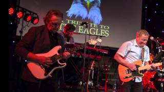 Peaceful easy feeling Eagles cover by Norwegian Eagles [upl. by Illib]