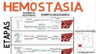 Hemostasia Coagulação do Sangue [upl. by Ayra]