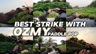 Full Strike Haruan dengan Ozmy Paddle Pop •Umpan Padu• Vlog 125 [upl. by Nyrhtakyram]