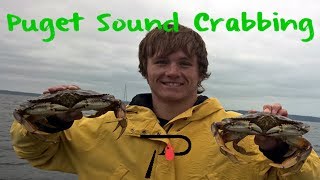 How To Crab in Washingtons Puget Sound [upl. by Aisiat]