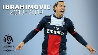 Zlatan Ibrahimovic  All Goals in 20132014 1st half  PSG [upl. by Ainesy]