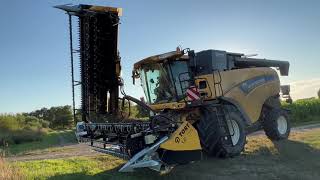 moissonneuse batteuse New Holland Cx 8070 AVEC coupe repliable [upl. by Thais633]