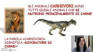 Animali erbivori carnivori e onnivori classe I scuola primaria [upl. by Garik]