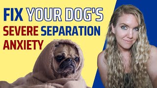 Fix Your Dog’s Separation Anxiety PERMANENTLY [upl. by Kloster]