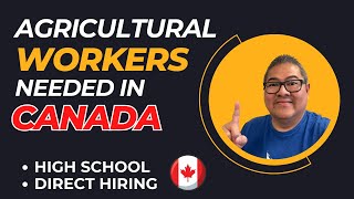 AGRICULTURAL WORKERS NEEDED IN CANADA I DIRECT HIRING I HIGH SCHOOL DIPLOMA I BUHAY SA CANADA [upl. by Caye702]