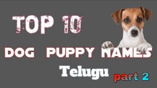 Top 10 India Dog Names in 2020 Rottweiler Dog Training Telugu [upl. by Ash]