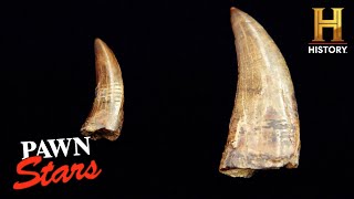 Pawn Stars DINOMITE DEAL for T Rex Teeth Season 21 [upl. by Iam956]