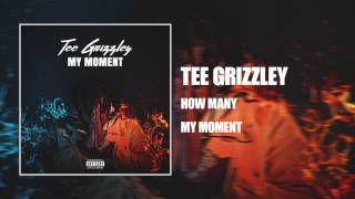 Tee Grizzley  How Many Official Audio [upl. by Marilou466]