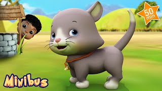 Ding Dong Bell  The Baby Cat Song  More Nursery Rhymes amp Kids Songs  Minibus [upl. by Zwiebel]