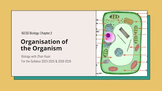 IGCSE Biology  Chapter 2  Organisation of the Organism [upl. by Malissa]