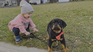 Baby Takes Her Puppy on a Walk [upl. by Oremo]