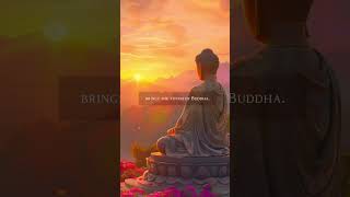 Buddhist Meditation Music with Violin  Experience the Love of Buddha shorts [upl. by Link]