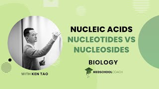 Nucleotides vs Nucleosides [upl. by Eel]