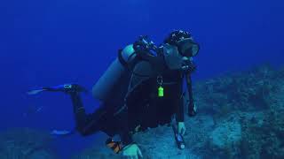 Little Cayman Dive Trip Video [upl. by Samara]