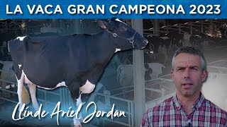 SAT CECEÑO cuna de la Vaca Gran Campeona por 4º año en el Concurso Nacional CONAFE FRISONA [upl. by Flessel]