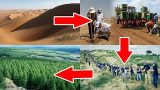 Innovative Methods Showing How China Turns Desert Into Forest [upl. by Anailuj]