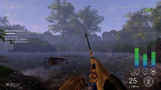 Fishing Planet PS5  Rzeka Neherrin Spławik  Unikatowa Niszczuka Długonosa [upl. by Llebanna]