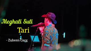 Meghali Suli Tari ।। মেঘালী চুলি তাৰি ।। new song Zubeen  Assamese song  new Assamese song 2024 [upl. by Nadab]