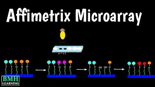 Affymetrix Microarray  Affymetrix Genechip  Affymetrix Genechip Oligonucleotide Microarray [upl. by Corron]