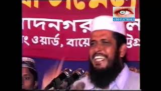 নবীজির মেরাজ  মাওলানা তোফাজ্জল হোসেন  Mawlana Tofazzal Hossain l Bangla Waz [upl. by Wiburg570]