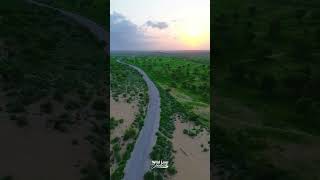 A view of tharparkar  greenary  sunset [upl. by Llednahc]