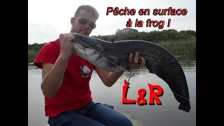 Pêche à la frog silures et brochets en live [upl. by Adyol]