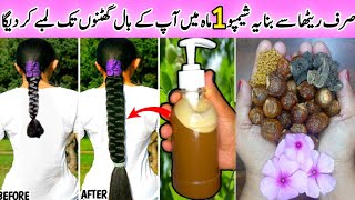 How To Make Homemade Herbal Reetha Shampoo🍈 Shampoo Banane Ka Asan Tarika  Reetha Shampoo  Remedy [upl. by Eidoc]