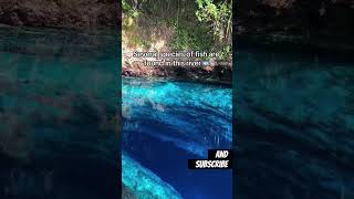 Enchanted River Surigao philippines nature river bluewater [upl. by Huber307]