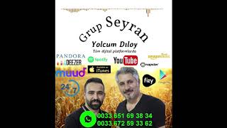 Grup Seyran  Yolcum Dıloy Official Audio [upl. by Myrwyn]