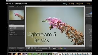 Adobe Lightroom 5 Exporting an Image [upl. by Mlawsky]