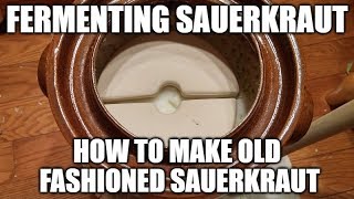 Fermenting Sauerkraut  How To Make Old Fashioned Sauerkraut [upl. by Ahsemat]