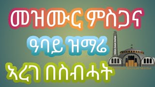 mezmur msgana መዝሙር ምስጋና [upl. by Embry154]