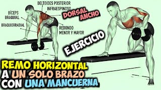 EJERCICIO Para DORSALES 🔴 El REMO HORIZONTAL A Un SOLO BRAZO Con UNA MANCUERNA 🟢 Gana ESPALDA [upl. by Vena848]