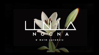 Linia Nocna  W moim ogrodzie  DAAB Cover [upl. by Eisdnil450]