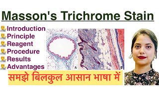 Mason’s Trichrome Stain in Hindi  Histology stain  MLT [upl. by Alexandra]